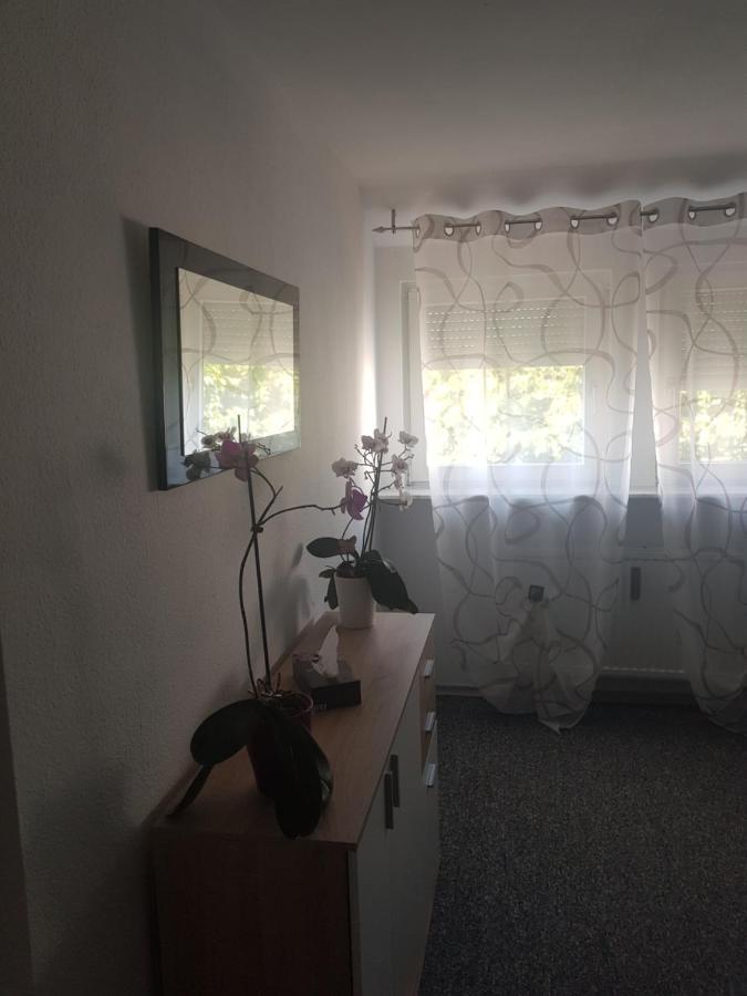 Ruhig Gelegenes Objekt - Netflix,Balkon, Nespressomaschine, Fahrraeder- 7 Minuten Vom See Fuer Den Perfekten Urlaub Im Sueden Uhldingen-Mühlhofen Exterior foto